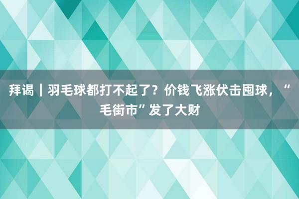 拜谒｜羽毛球都打不起了？价钱飞涨伏击囤球，“毛街市”发了大财