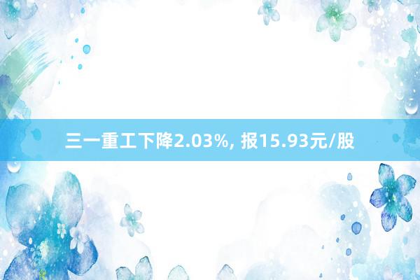 三一重工下降2.03%, 报15.93元/股