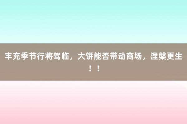 丰充季节行将驾临，大饼能否带动商场，涅槃更生！！