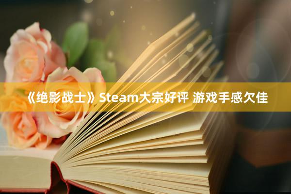 《绝影战士》Steam大宗好评 游戏手感欠佳