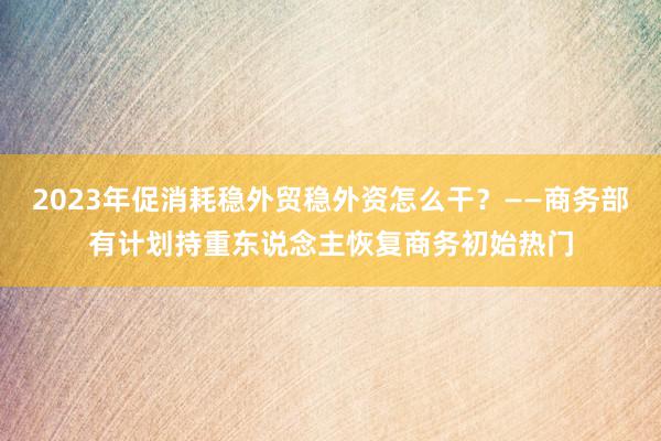 2023年促消耗稳外贸稳外资怎么干？——商务部有计划持重东说念主恢复商务初始热门