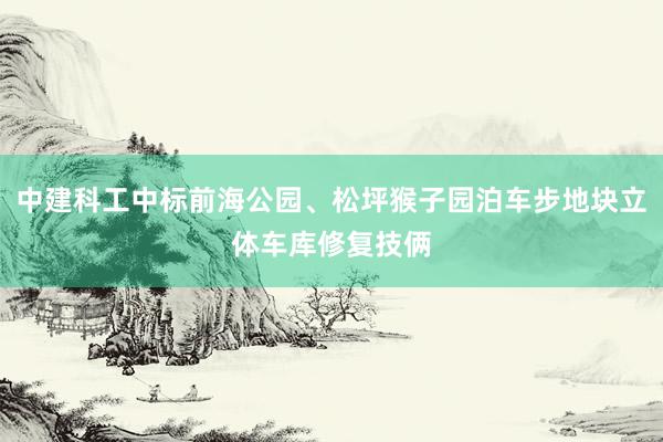 中建科工中标前海公园、松坪猴子园泊车步地块立体车库修复技俩