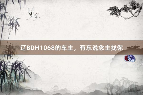 辽BDH1068的车主，有东说念主找你